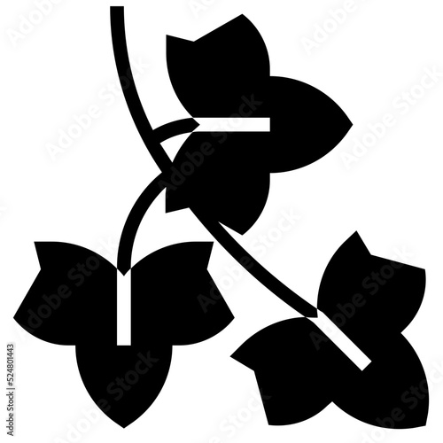 ENGLISH IVY glyph icon photo