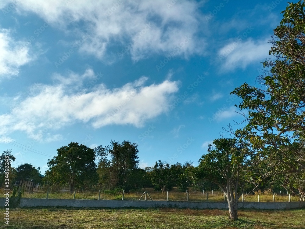Hello summer holiday travel natural beautiful landscape meadow background wallpaper photography image Hello summer holiday travel natural beautiful landscape meadow background wallpaper photography image