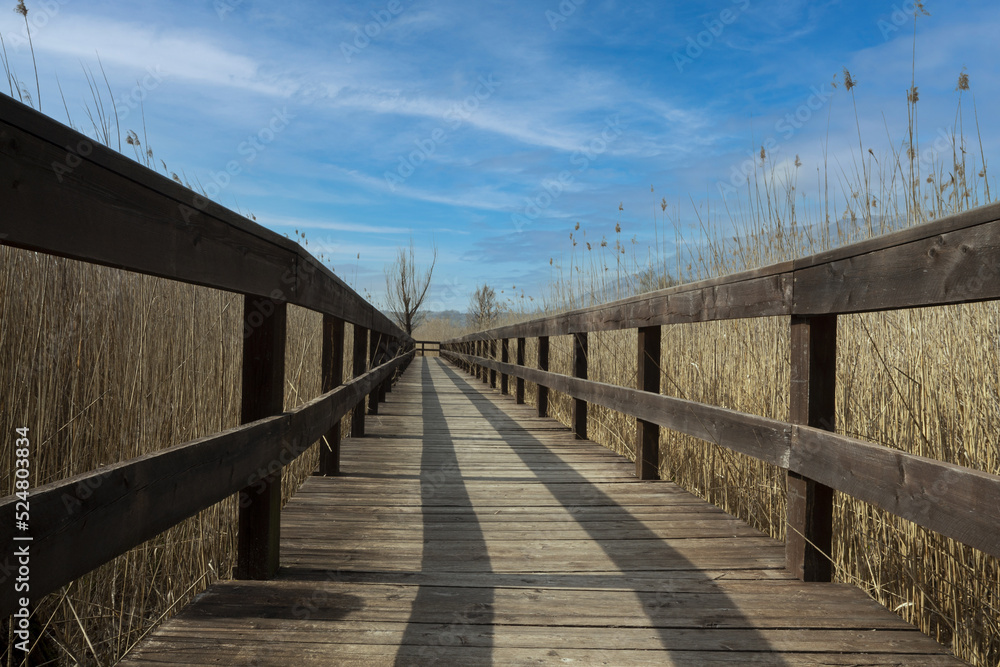 Fototapeta premium wooden path a Posta Fibreno nature reserve (Frosinone)