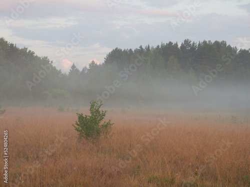 Beautiful sunrise in a foggy landscape