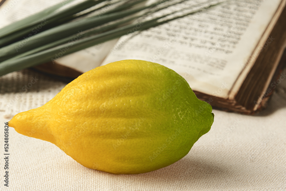 Festival of Sukkot. Book of Leviticus, etrog and lulav. Symbols of Torah-commanded holiday. Selective focus. Closeup.