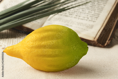 Obraz na płótnie Festival of Sukkot. Book of Leviticus, etrog and lulav. Symbols of Torah-commanded holiday. Selective focus. Closeup. w salonie