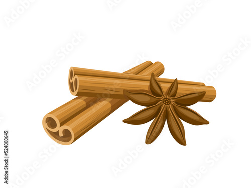 Vector illustration, cinnamon roll stick and star anise, isolated on a white background.