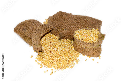 Obraz na plátně The sorghum seeds,Grain isolated on white background