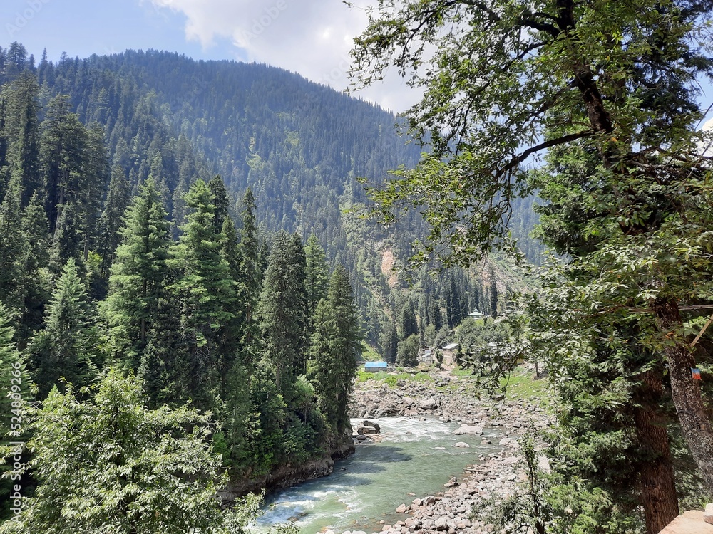 Natural beauty and wildlife of Kashmir Pakistan Natural beauty and wildlife of Kashmir Pakistan
