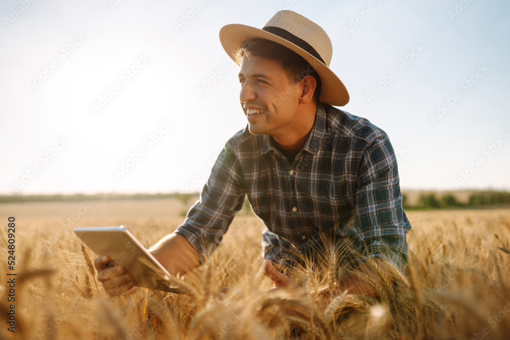 Farmer on a wheat field with a tablet in his hands. Smart farm. Agriculture, gardening or ecology concept Farmer on a wheat field with a tablet in his hands. Smart farm. Agriculture, gardening or ecology concept