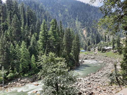 Natural beauty and wildlife of Kashmir Pakistan photo