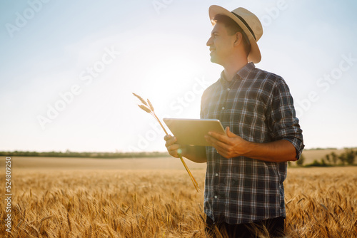 Farmer on a wheat field with a tablet in his hands. Smart farm. Agriculture  gardening or ecology concept