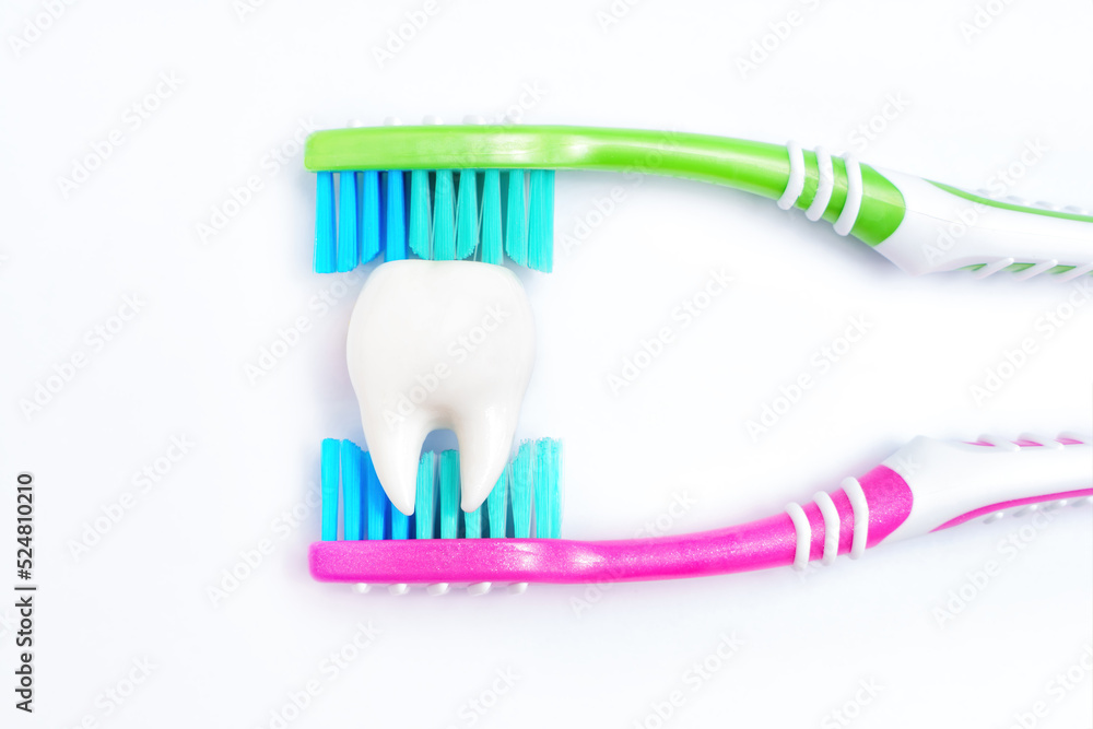 Cleaning tooth with two toothbrushes on white Cleaning tooth with two toothbrushes on white
