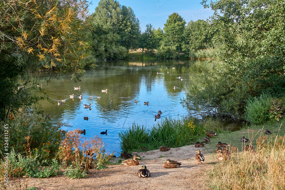 Fototapeta premium Hannover-Bemerode