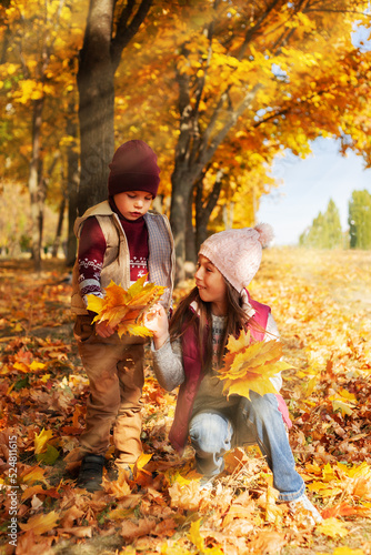 happy boy and girl laughing on the background of autumn leaves in the park. Family Having Fun Outdoors. Yellow Trees and Leaves.