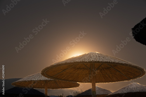 umbrellas at the beach
