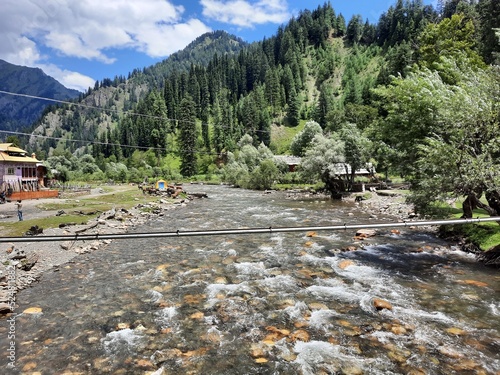 Natural beauty and wildlife of Kashmir Pakistan photo