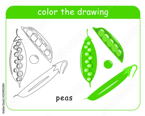 Coloring book for children. A set of green peas in color and black and white. Vector illustration.