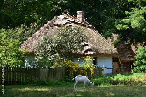 Muzeum Wsi Lubelskiej, skansen, architektura, dom, 