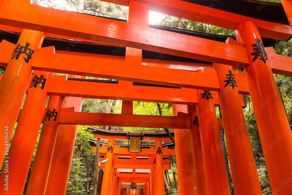 Fushimi Inari Taisha Shrine in Kyoto, Japan Fushimi Inari Taisha Shrine in Kyoto, Japan