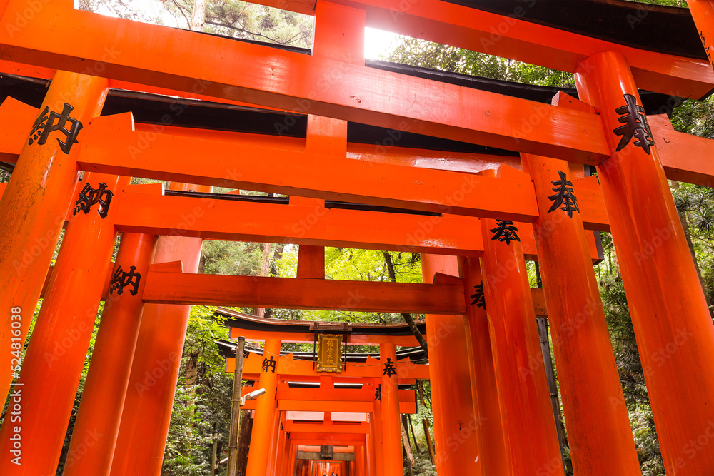 Fushimi Inari Taisha Shrine in Kyoto, Japan