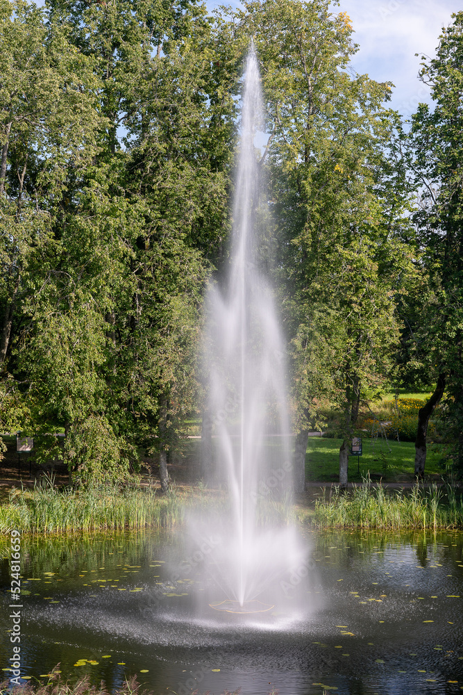 Water fountain spraying water