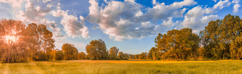 Colorful autumn sunrise on meadow. Panoramic nature landscape, soft pastel colors, dream nature, sunset autumnal background. Forest field, closeup golden grass meadow. Peaceful amazing nature panorama