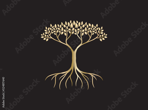 golden acacia tree logo vector on black background. good for logo and print on metal.