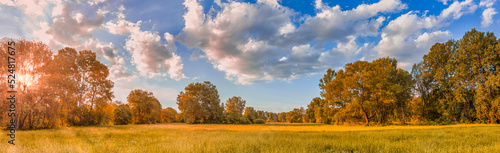 Colorful autumn sunrise on meadow. Panoramic nature landscape, soft pastel colors, dream nature, sunset autumnal background. Forest field, closeup golden grass meadow. Peaceful amazing nature panorama