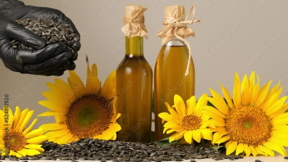 Sunflower oil, yellow sunflower flowers and sunflower seeds in human hands. Sunflower flower and seeds for the manufacture of oil. Organic healthy product made in Ukraine Sunflower oil, yellow sunflower flowers and sunflower seeds in human hands. Sunflower flower and seeds for the manufacture of oil. Organic healthy product made in Ukraine