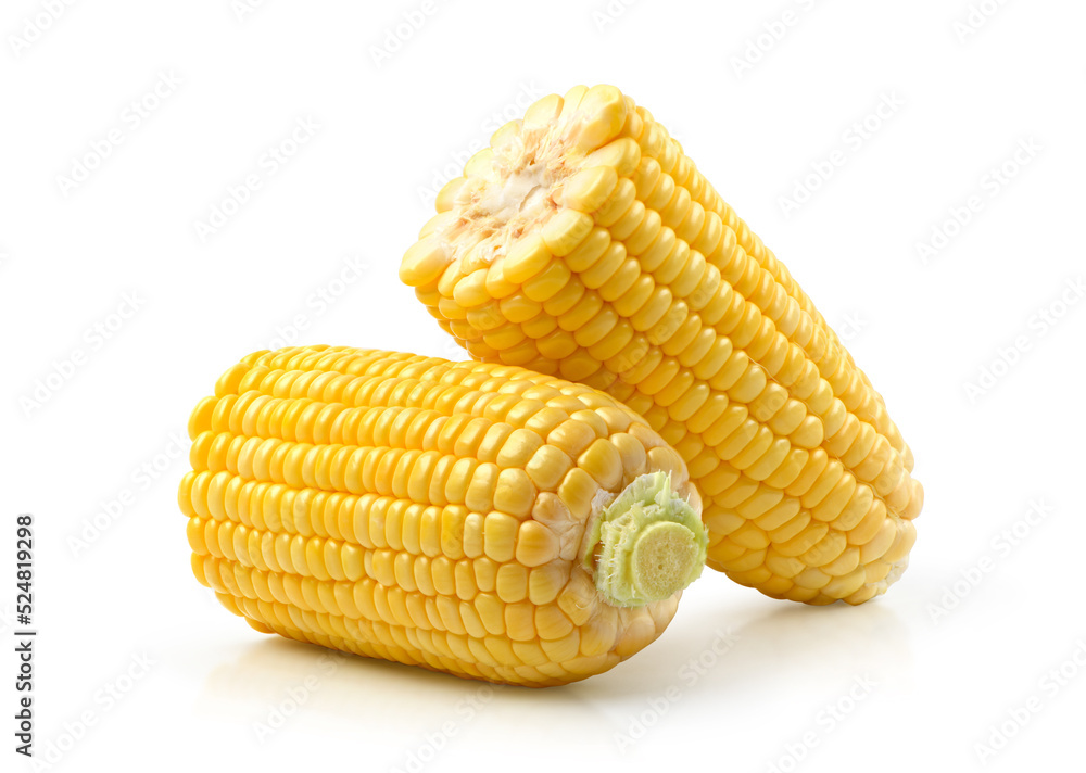 Fresh corn isolated on white background. Clipping path. Fresh corn isolated on white background. Clipping path.