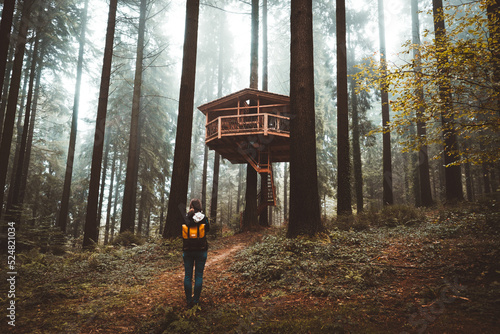 Wooden cabin hanged on tree
