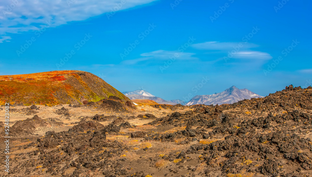 View of black sand volcanic desert and stone on Kamchatka Peninsula