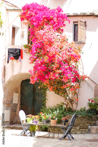 flowery courtyard of a house