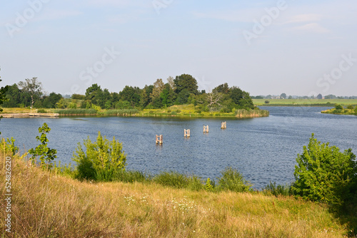 Vistula river in Poland, summer landscape of the river and surrounding vegetation