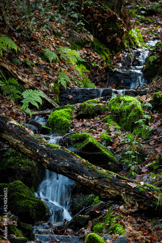 waterfall in the forest