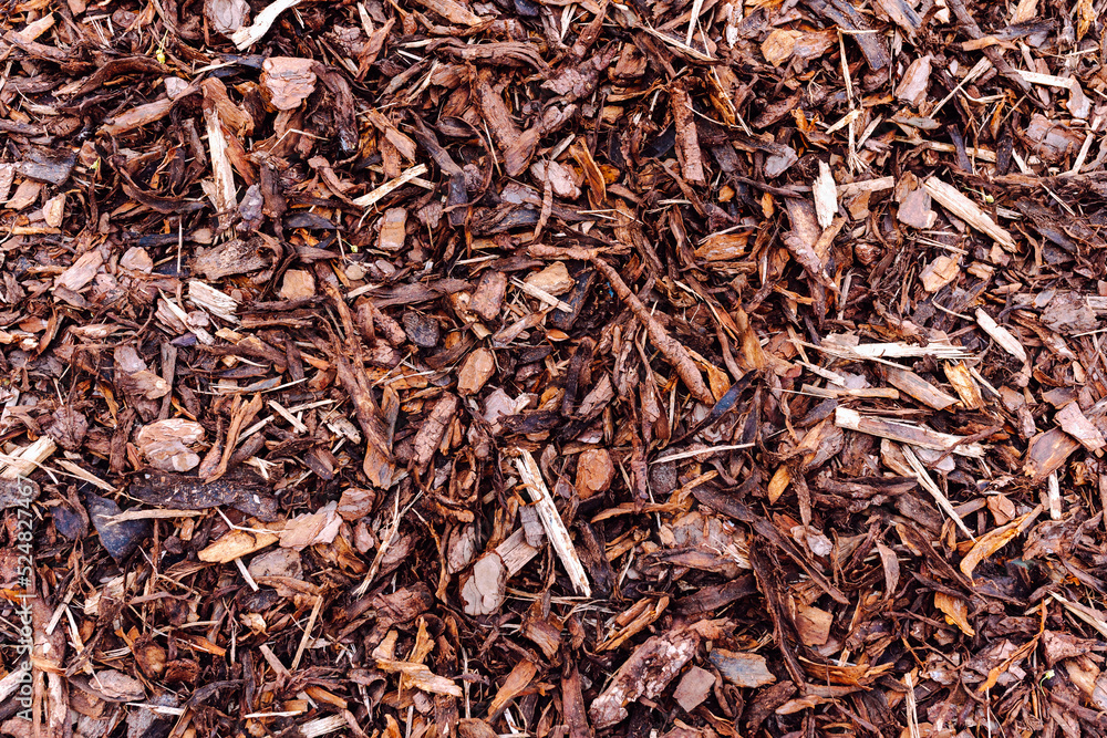 texture of brown wood chips, various fractions, seamless background, natural natural recycled material for soil mulching