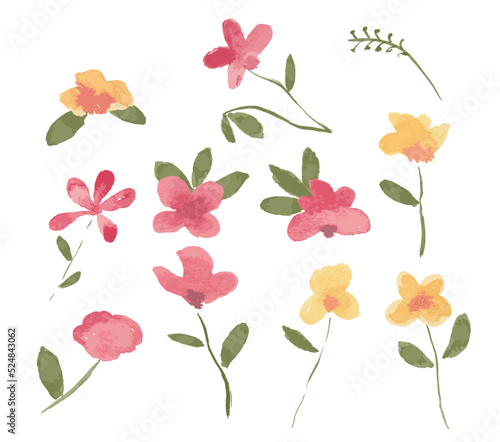 beautiful watercolor botanical wild flowers.Floral vector illustration.