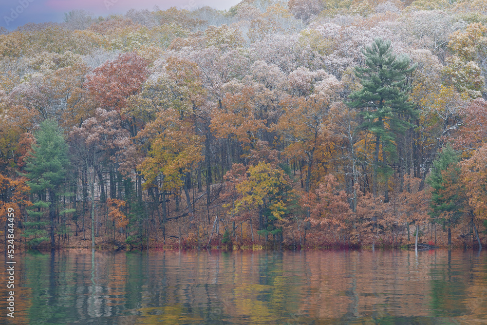 Fototapeta premium Autumn landscape at dawn of the shoreline of Hall Lake flocked with snow and with mirrored reflections in calm water, Yankee Springs State Park, Michigan, USA