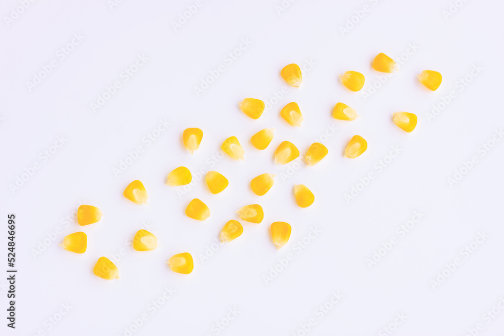 Yellow corn seeds scattered on pink background, Top view Yellow corn seeds scattered on pink background, Top view