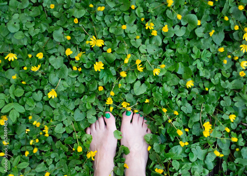 Top view of bare feet standing in green grass with rare yellow small flowers. The green color of the nail polish. Selective focus.