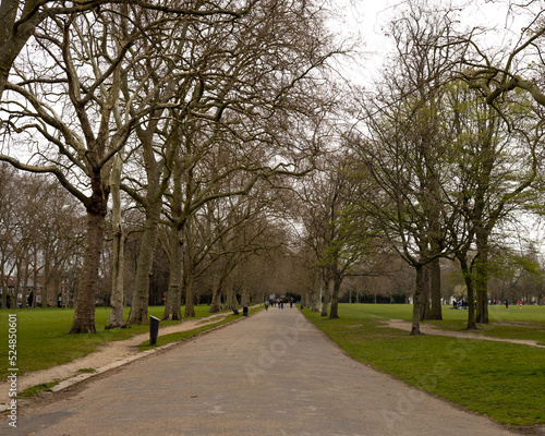 trees in the park during winter © cdesangles