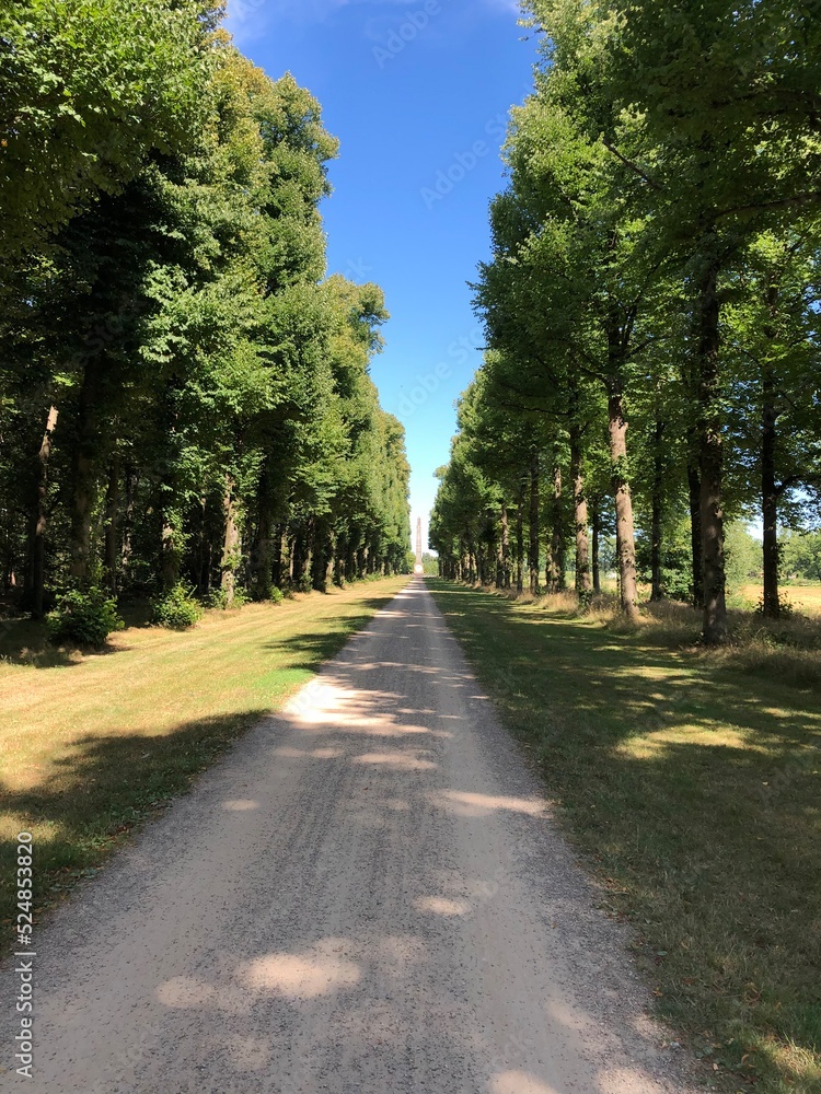 road in the park road in the park