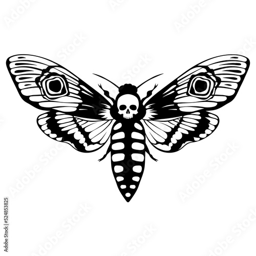 Death's head hawk moth. Acherontia atropos butterfly design, hand drawn vector illustration