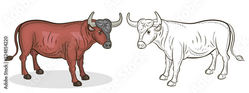 Large wild animal buffalo, black and white and color image.
 Coloring book for children. Vector drawing.
