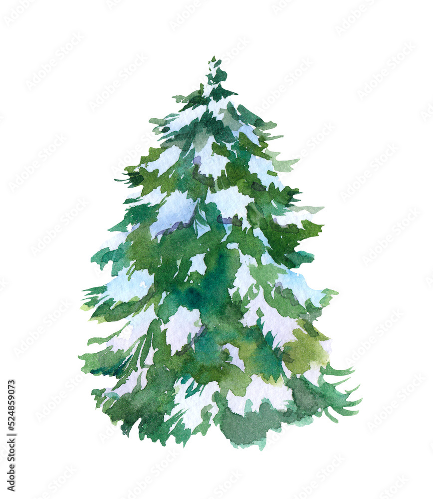 Fototapeta premium Winter spruce tree in snow. Watercolor fir pine