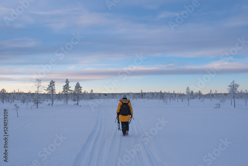 person walking on the snow in winter