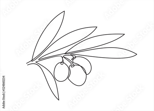Line icon olives -Continuous one line drawing
