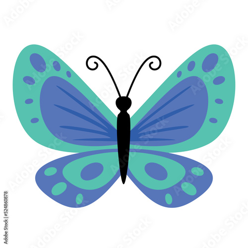 Flat Drawing Of A Butterfly