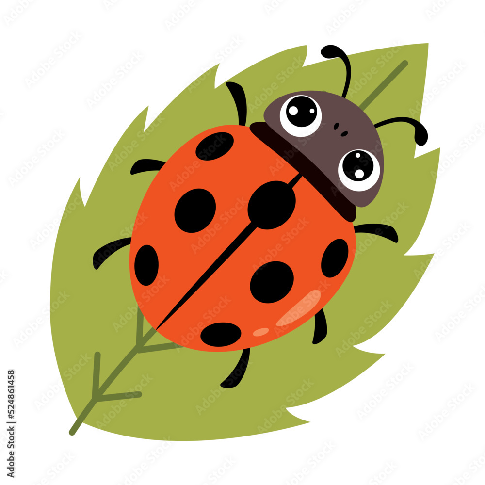Fototapeta premium Cartoon Illustration Of A Ladybug