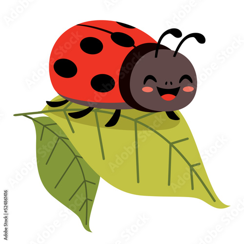 Cartoon Illustration Of A Ladybug