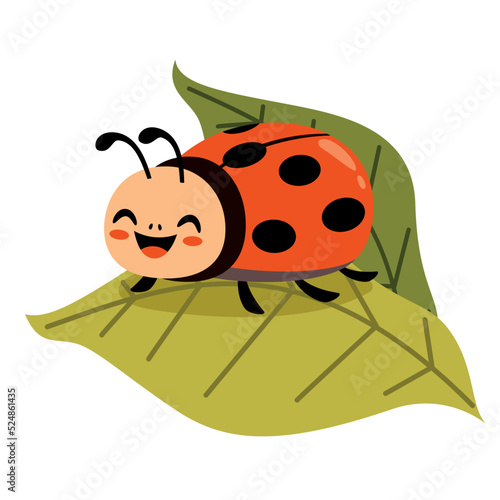 Cartoon Illustration Of A Ladybug