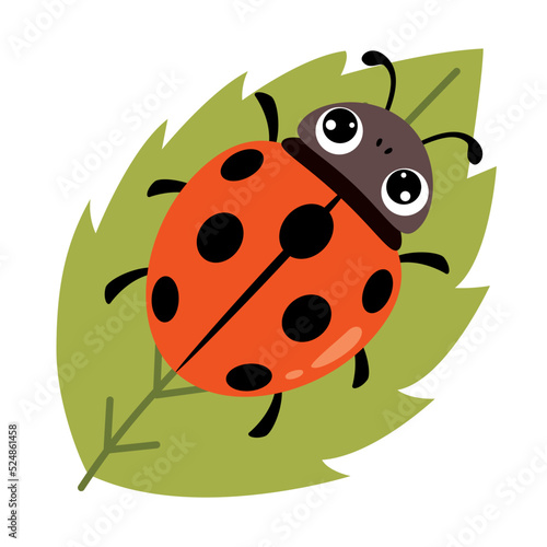 Cartoon Illustration Of A Ladybug