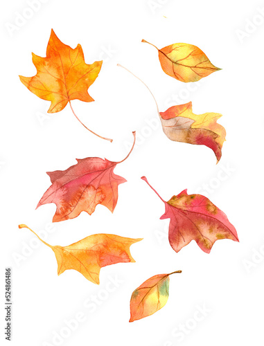 Abstract autumn leaves set. Watercolor
